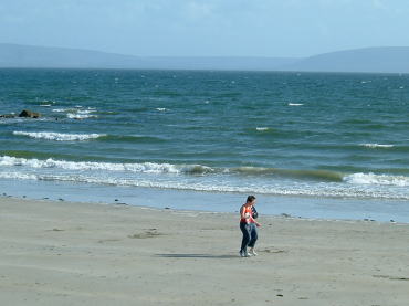 �o�[�i�E�r�[�`