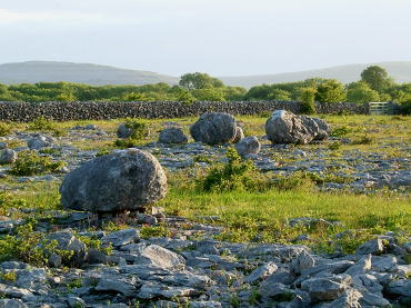 �U�E�o����