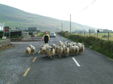 �f�B���O��