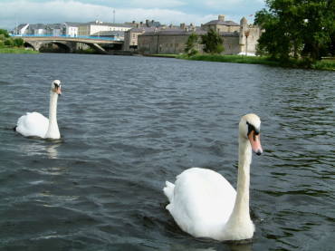 �G�j�X�L����