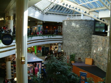 �S�[���E�F�C�E�G�A�X�N�G�A