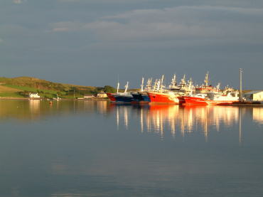 �L���x�O�X���`