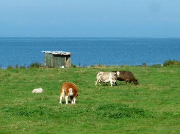 ���b�N�E�l�C