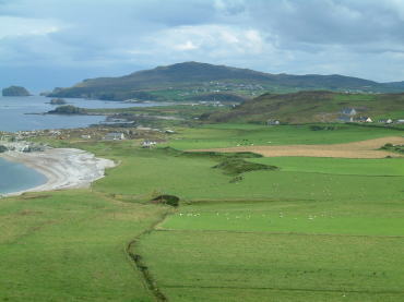 �}�����E�w�b�h