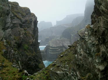 �~�[���E�w�b�h