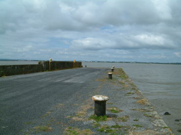 �p���X�P�����[�E�V���m����