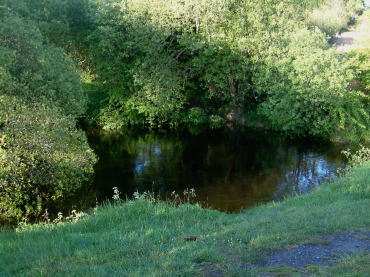 �V���m���|�b�g