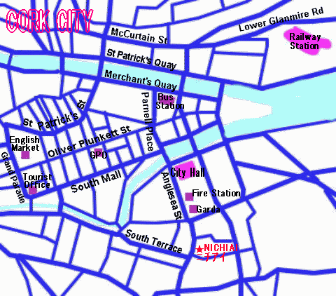 Nichiai Original Cork Map 2