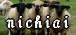 AChER[Ns̃j`ACЃCTCg