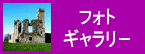 フォト・ギャラリー